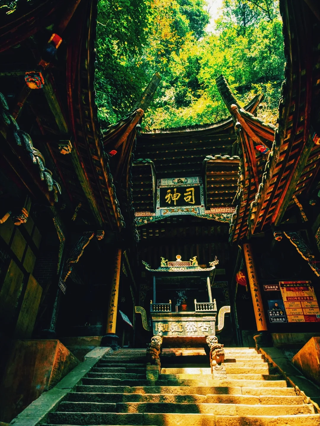 🌳都江堰+青城山 | 超详细游玩账本📖,速看