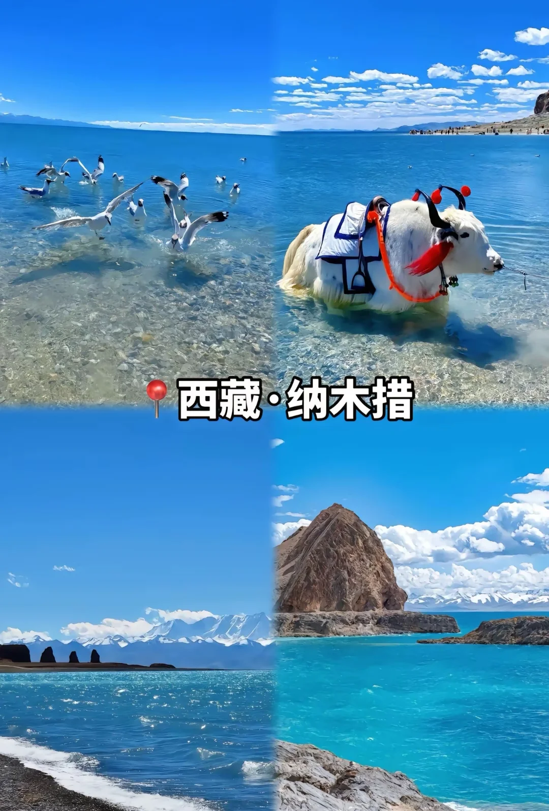 中国最美的景区，去过一半此生无憾。