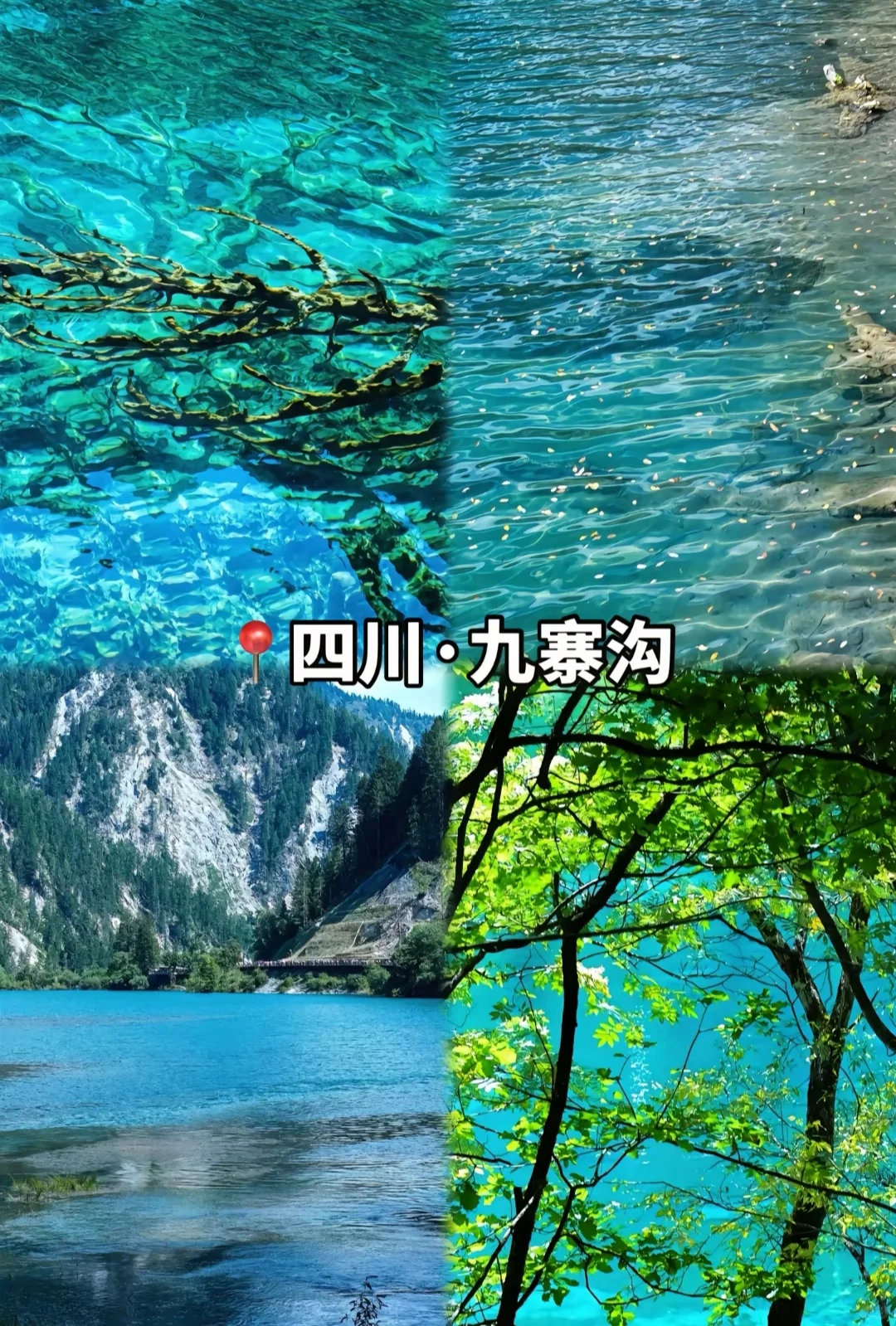 中国最美的景区，去过一半此生无憾。