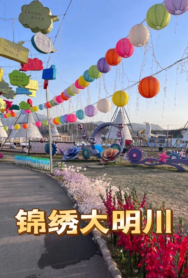 2025三八女神节🔥石家庄及周边免费福利🧧
