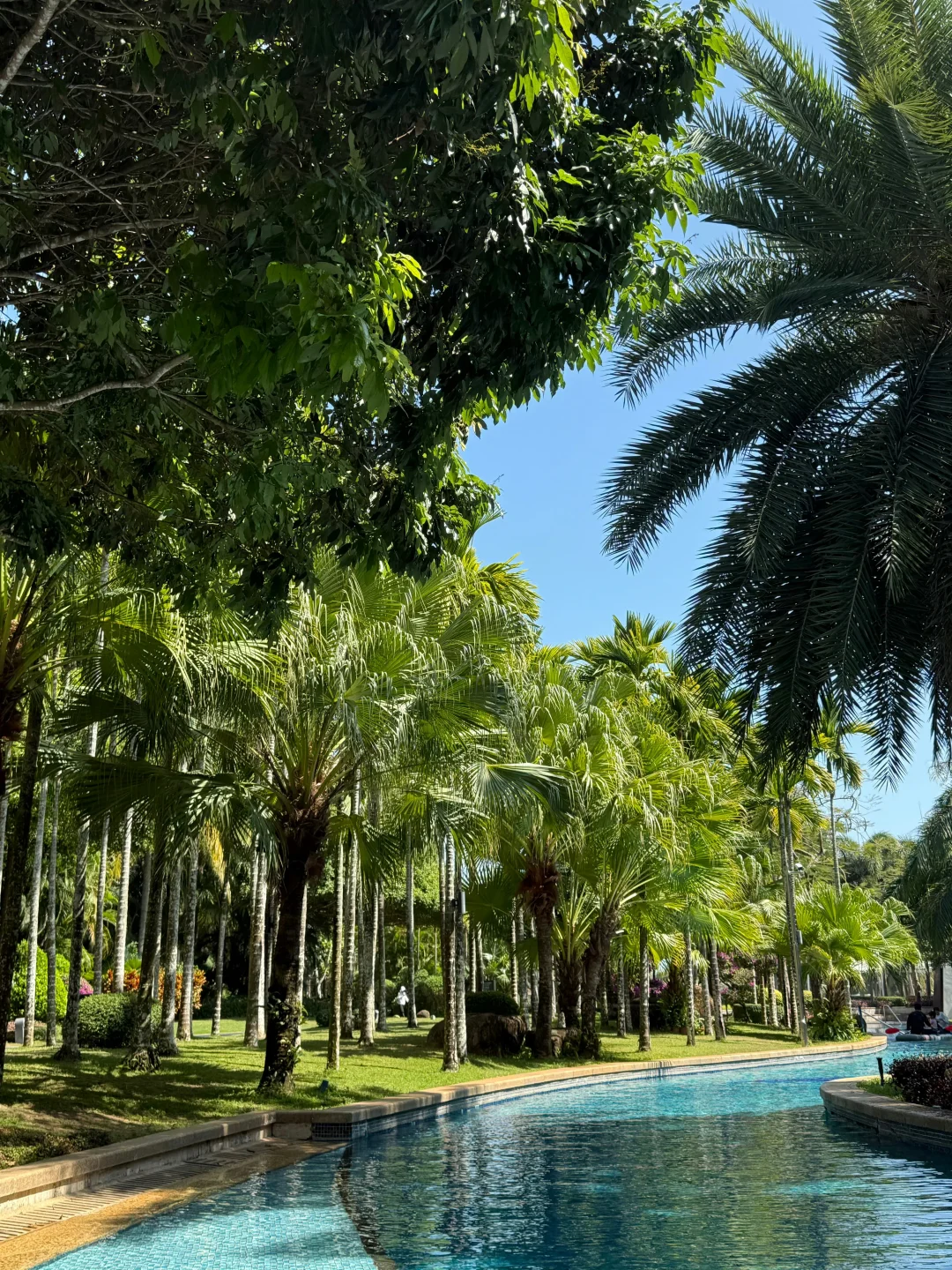 2.19📍三亚穷游已回。（😭人快崩溃了）