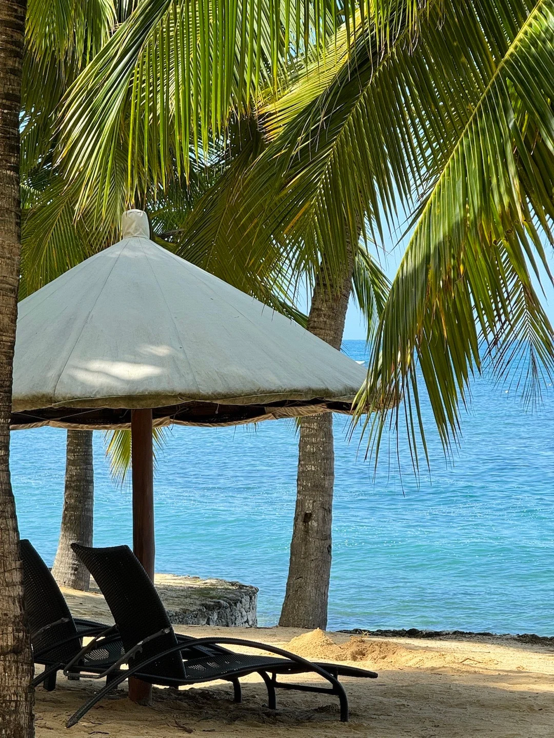 2.19📍三亚穷游已回。（😭人快崩溃了）