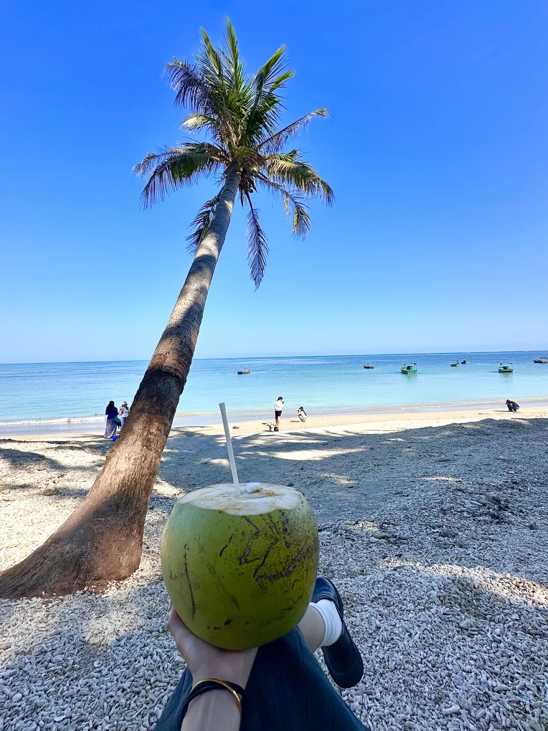 2.19📍三亚穷游已回。（😭人快崩溃了）