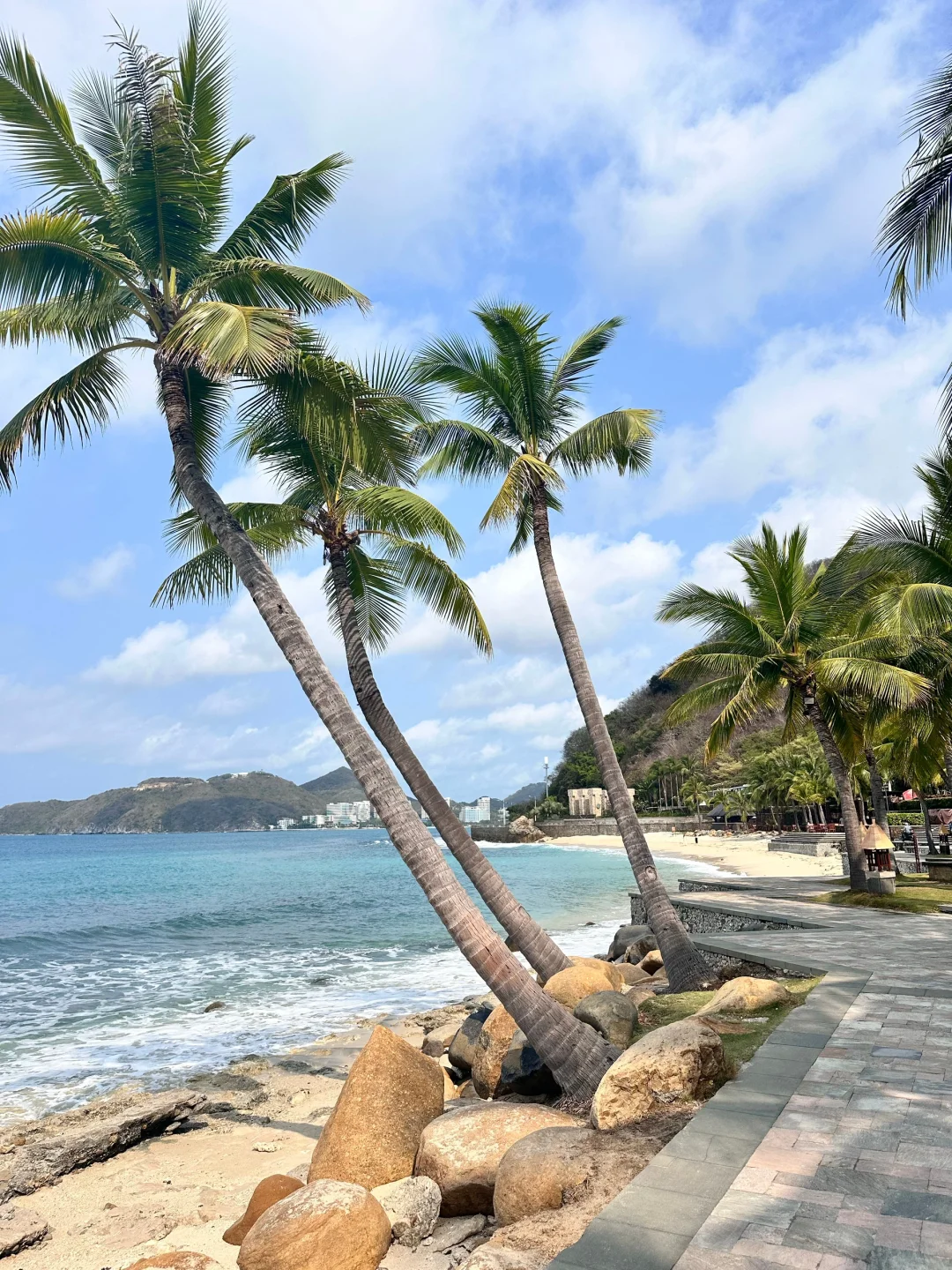 2.19📍三亚穷游已回。（😭人快崩溃了）