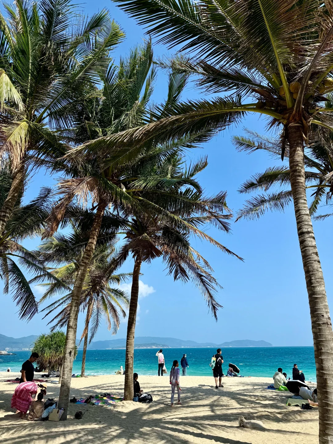 2.19📍三亚穷游已回。（😭人快崩溃了）