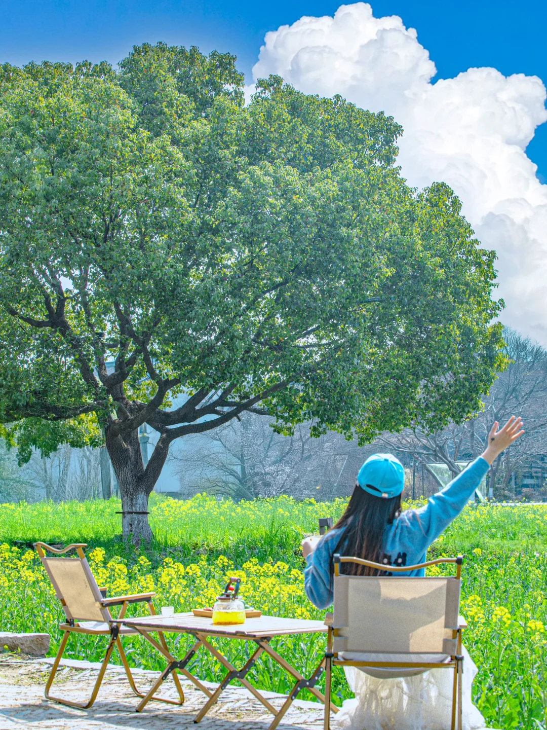 比起西湖,我更爱乌镇的春日限定春和景明