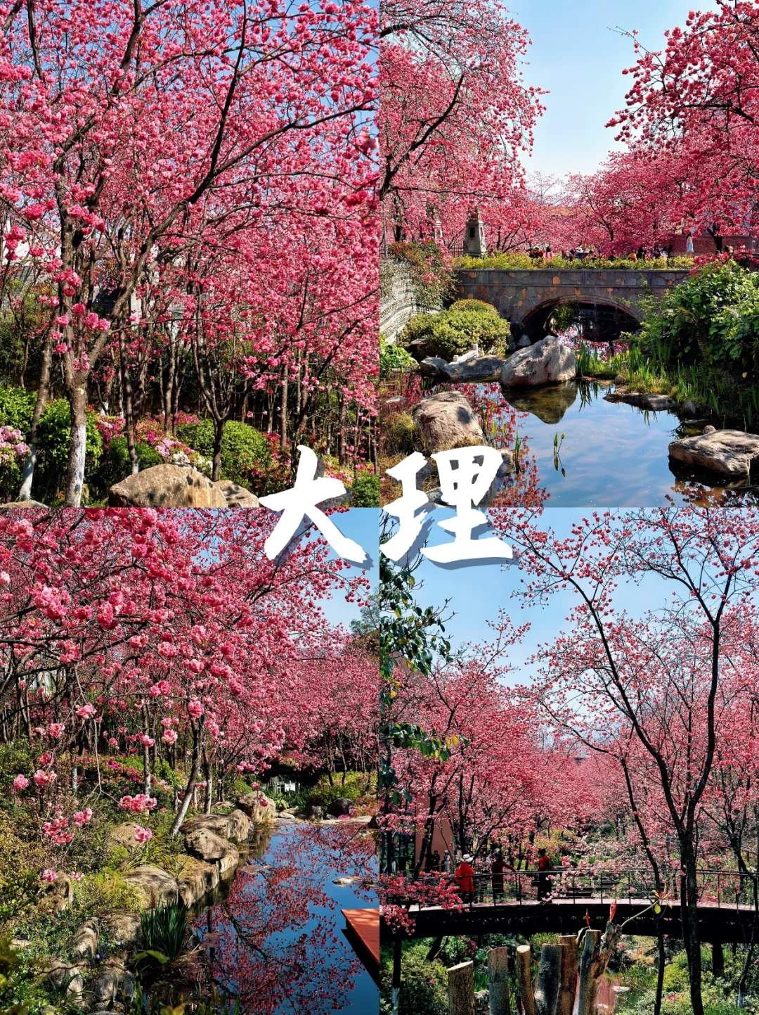 三月份适合初春旅游的五个城市！✨