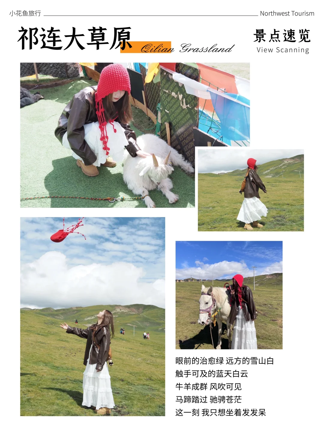 青甘大环线超chill的新路线‼️新玩法‼️上线