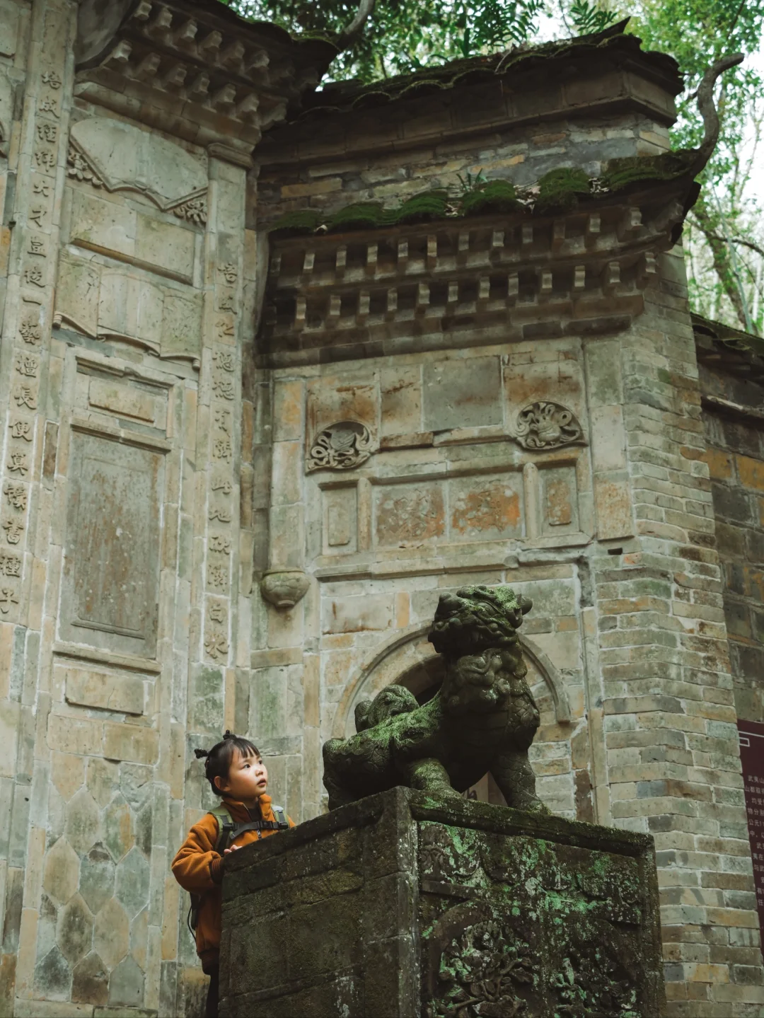 武夷山懒人攻略丨不爬山才是真的快乐