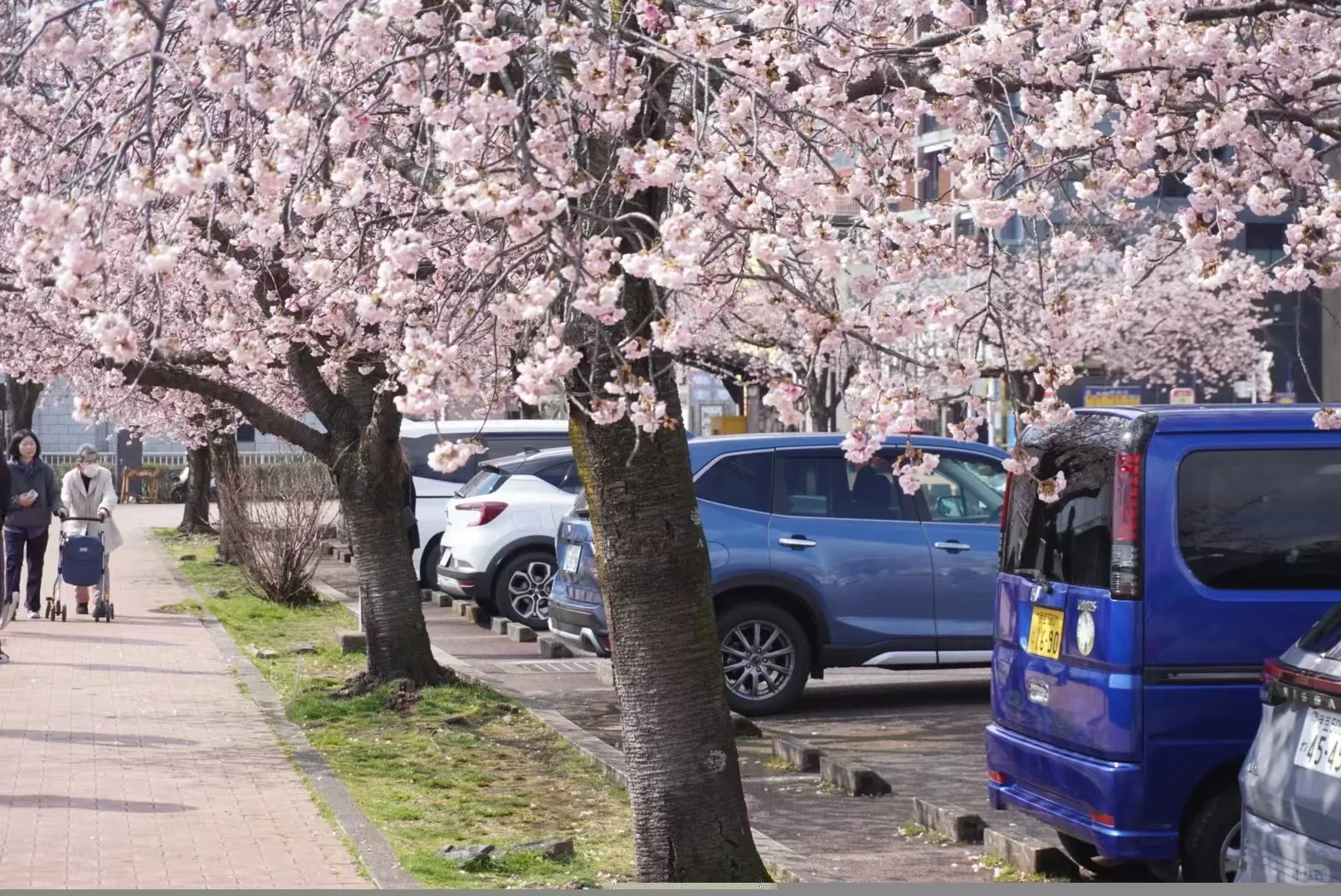 日本旅游包车价格明细💰一价全包❗️省心