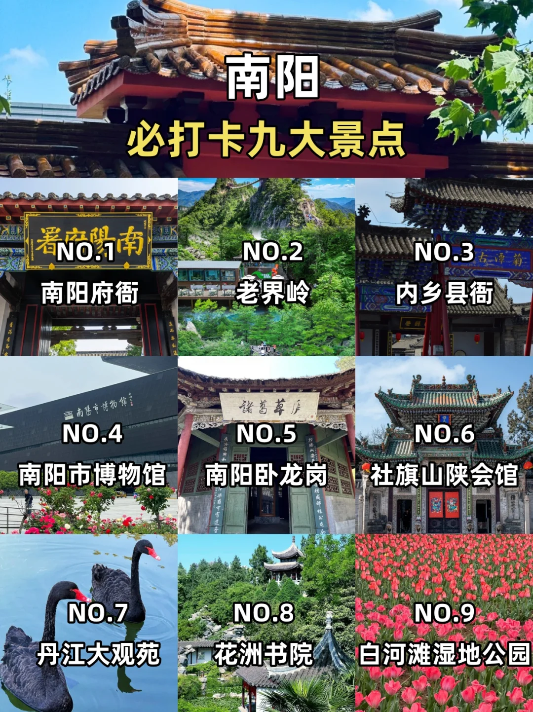 南阳市必去🔥9大景点‼️旅游前必看👀