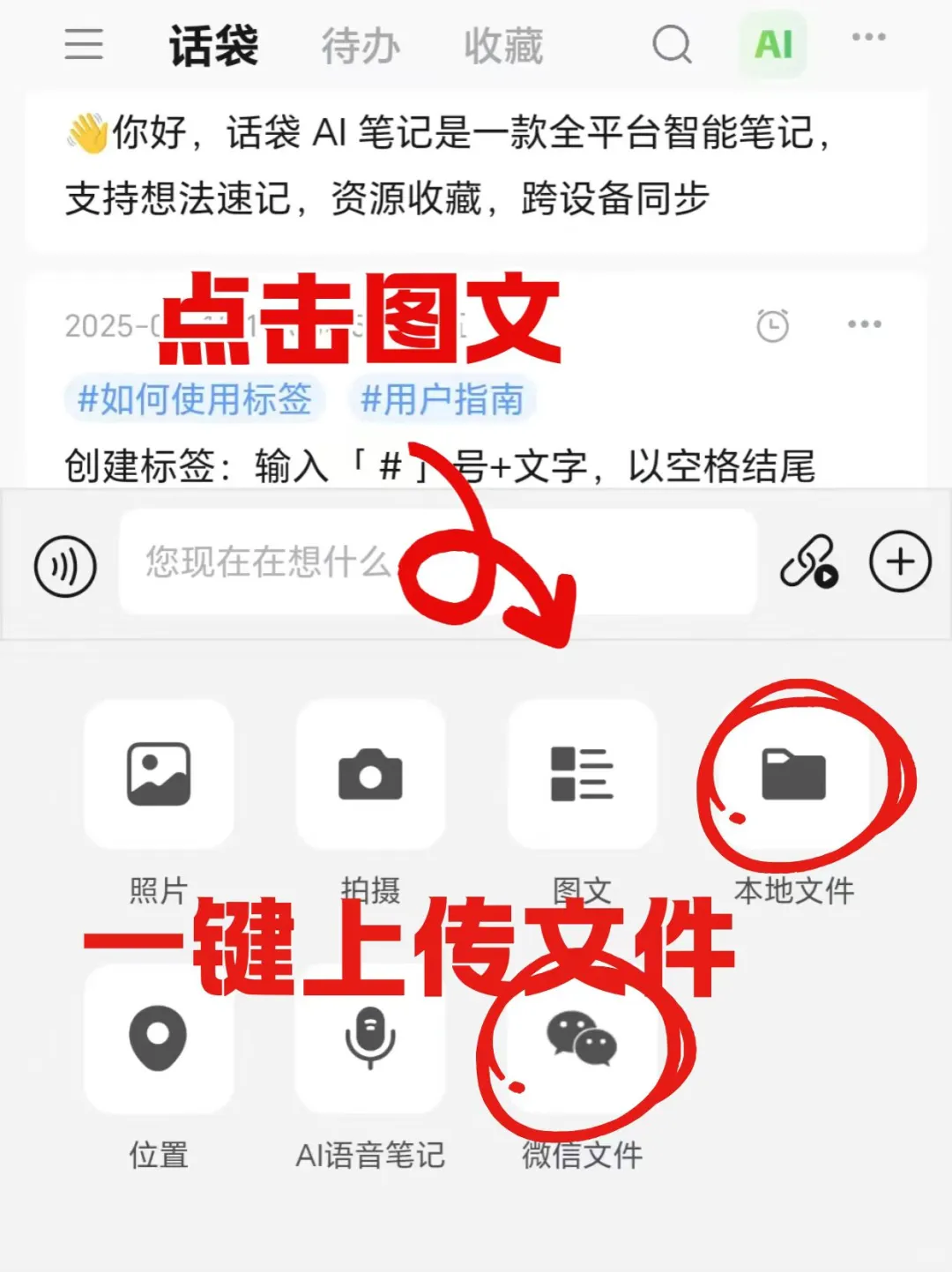 三月份适合初春旅游的五个城市！✨