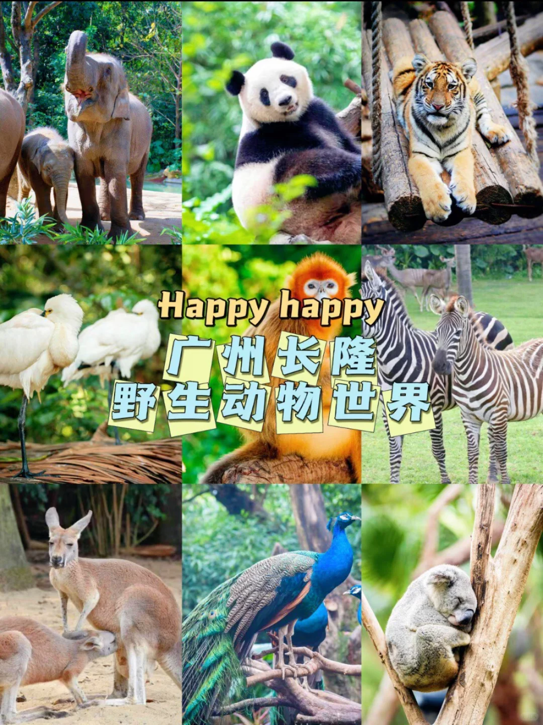 《清明旅游防踩坑指南|全国景点发疯文学版》