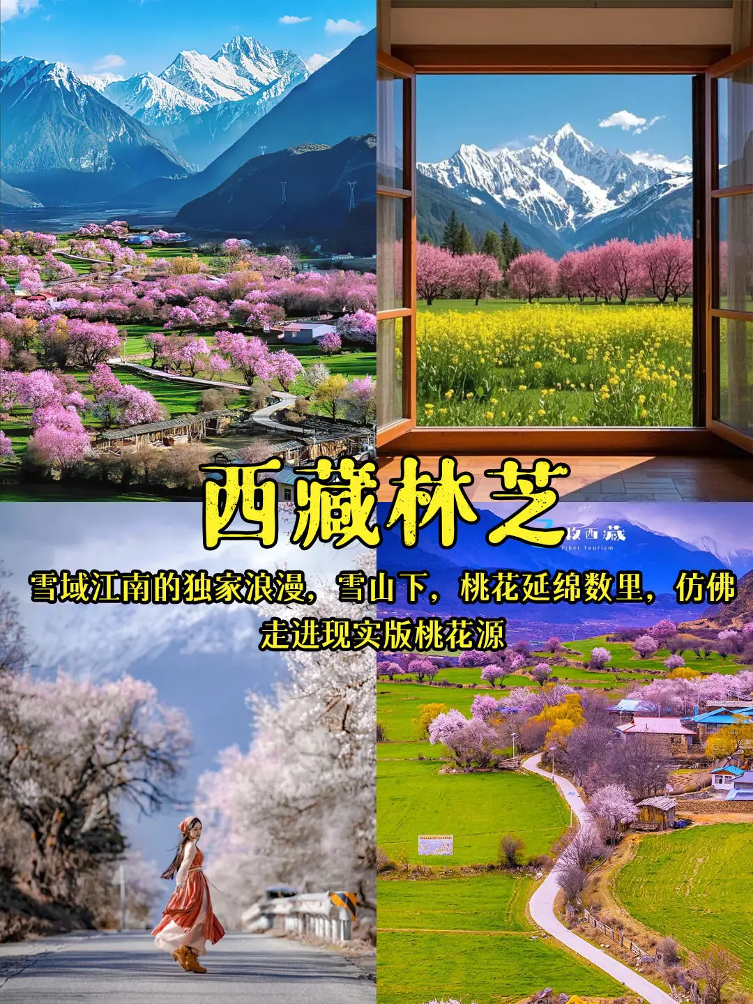 2025春游必冲！当我问DeepSeek国内小众赏花#