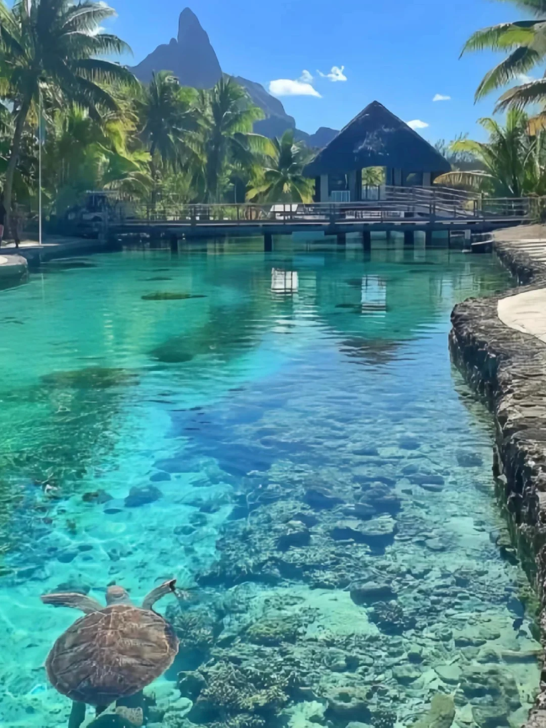 真心建议五一死磕斐济,便宜到怀疑人生😅