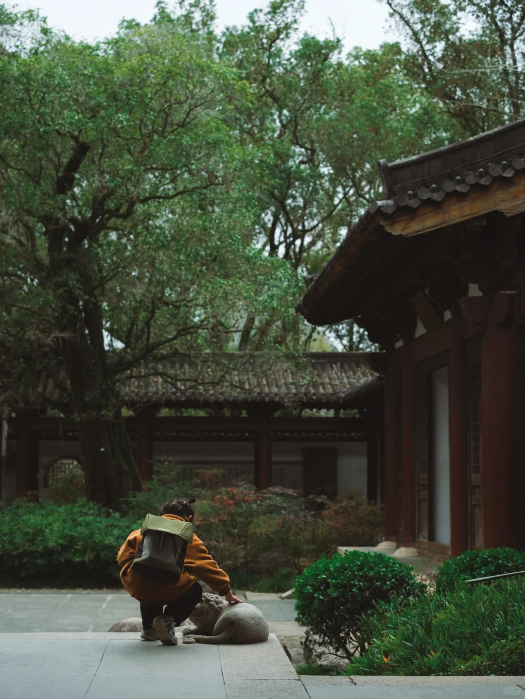 武夷山懒人攻略丨不爬山才是真的快乐