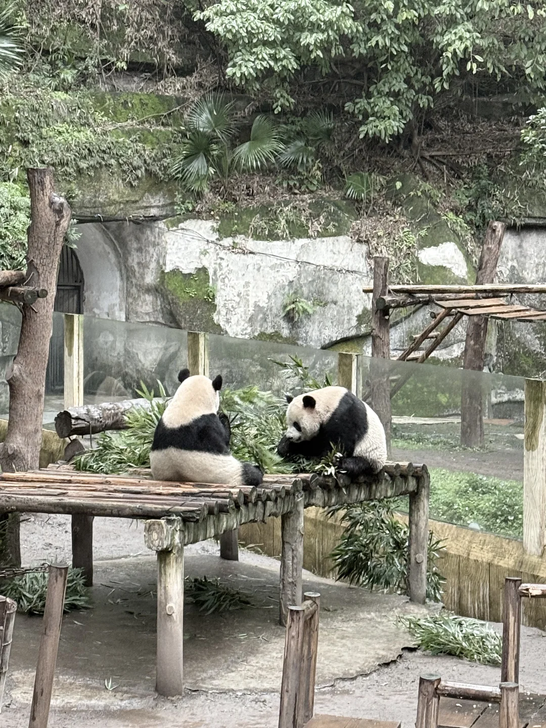 3.8📍和男友重庆已回。。😢两人崩溃了