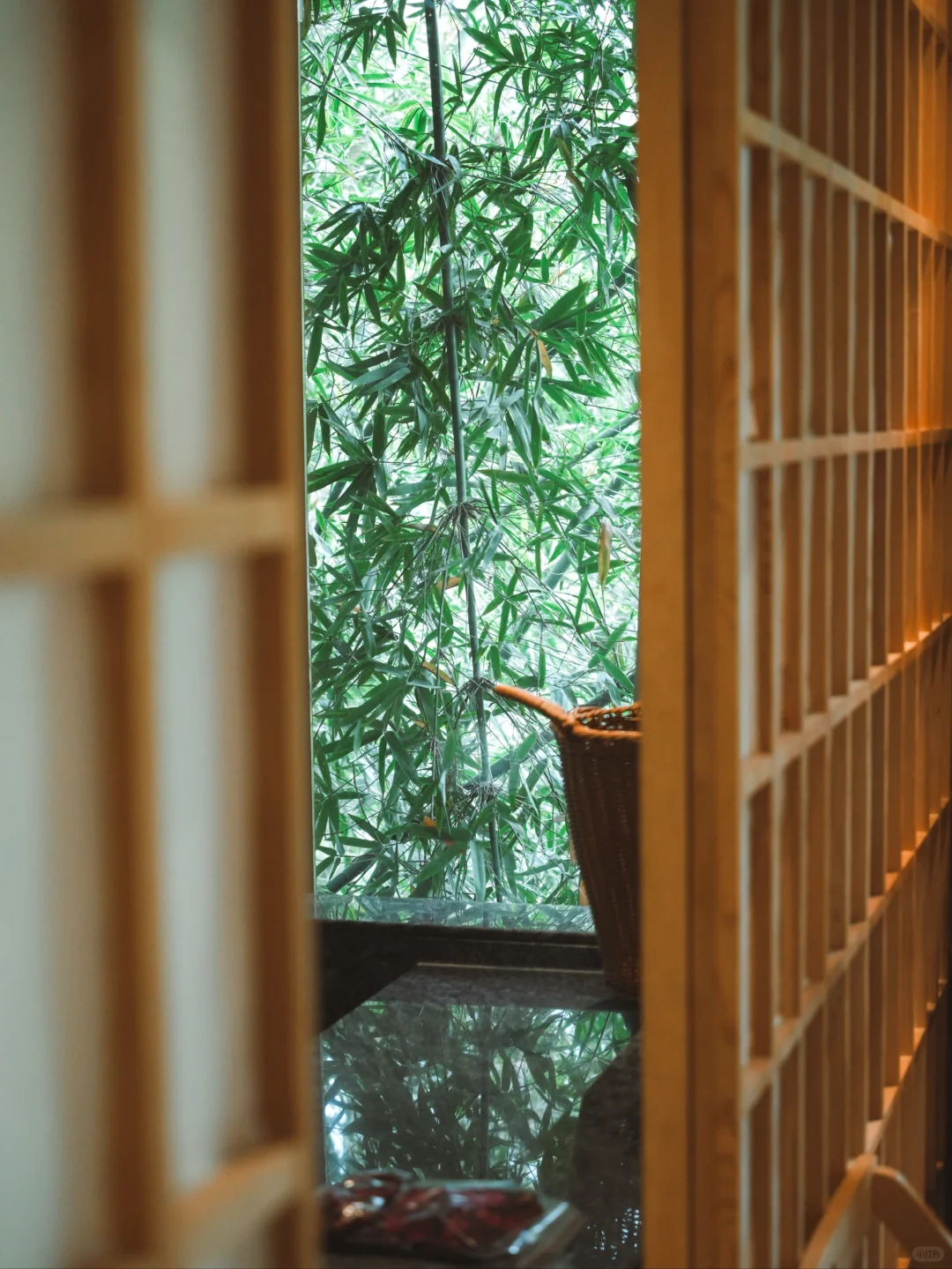 武夷山懒人攻略丨不爬山才是真的快乐