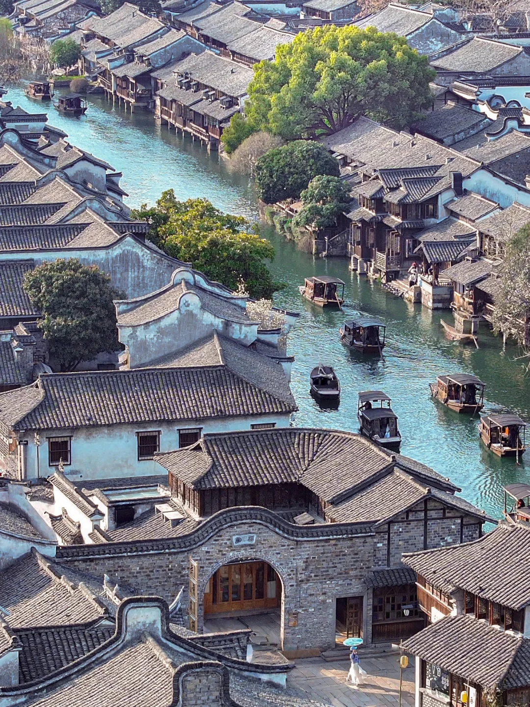 比起西湖,我更爱乌镇的春日限定春和景明