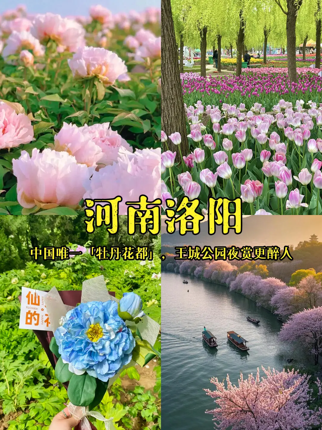 2025春游必冲！当我问DeepSeek国内小众赏花#