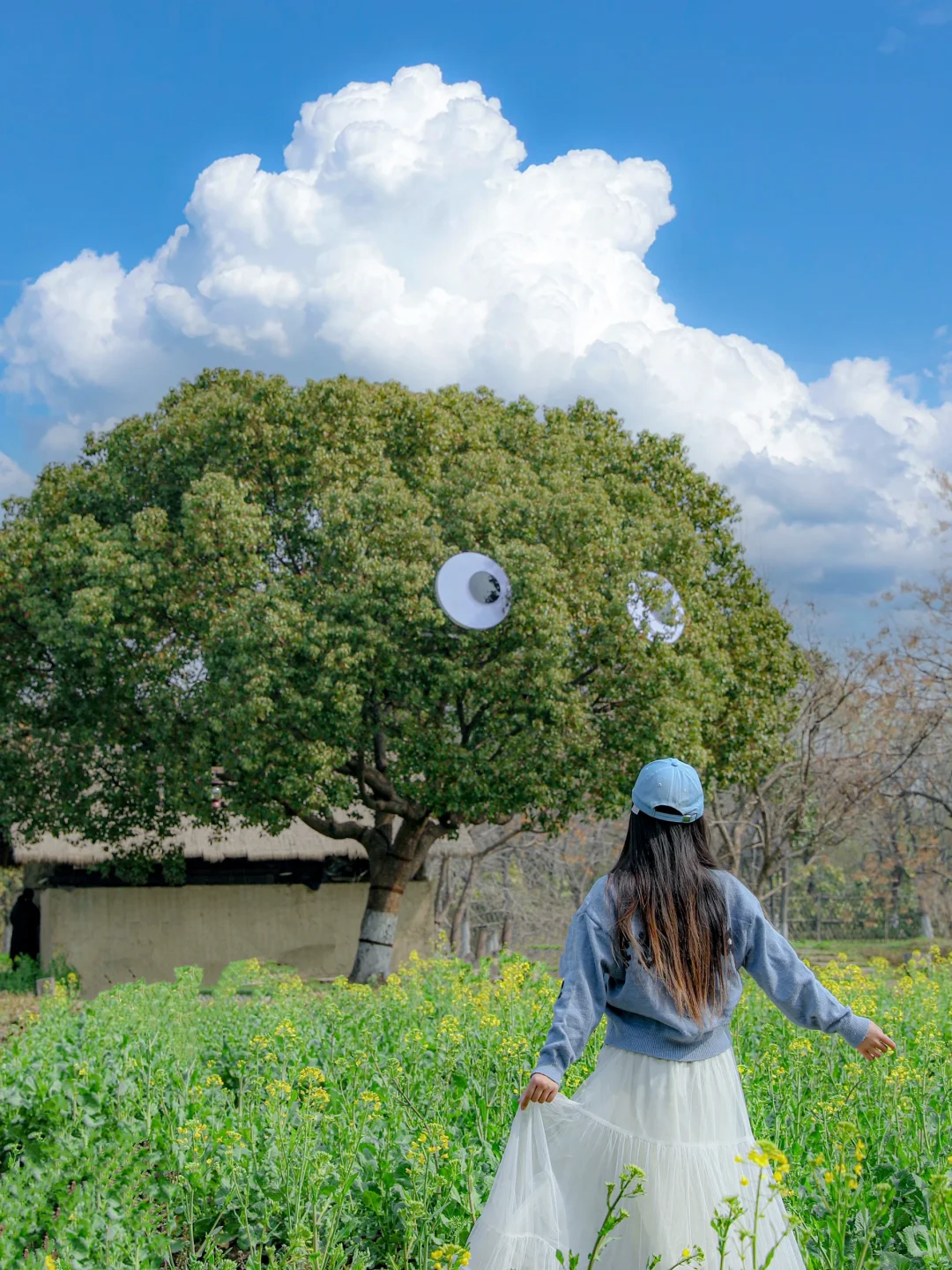 比起西湖,我更爱乌镇的春日限定春和景明