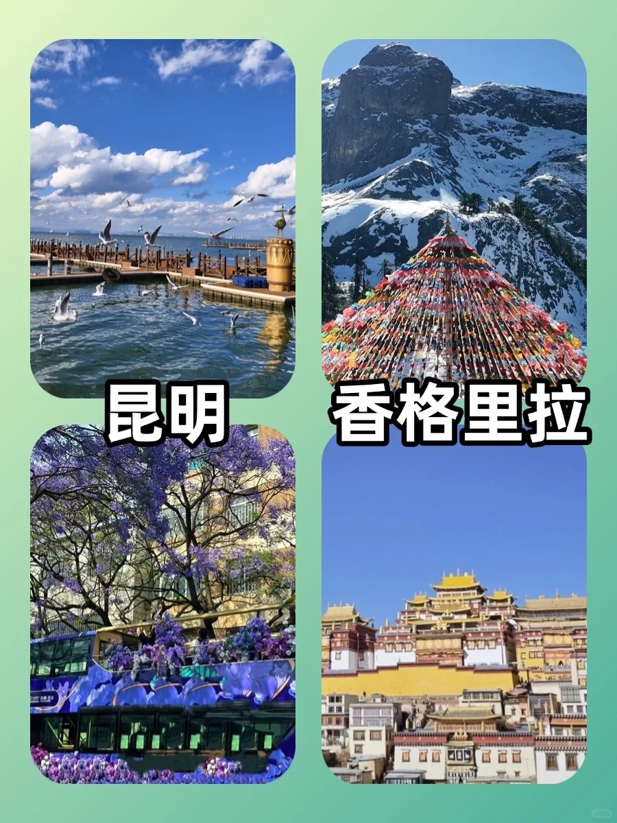 3-4月最适合去哪？快来看看有没有你计划的吧