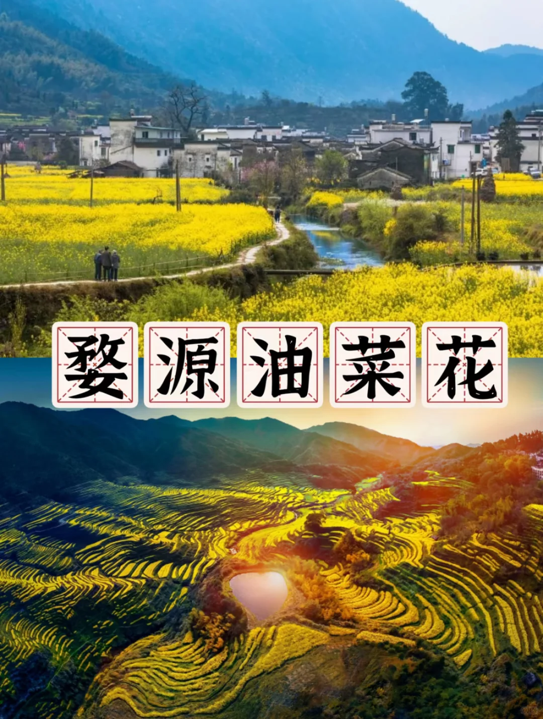 《清明旅游防踩坑指南|全国景点发疯文学版》