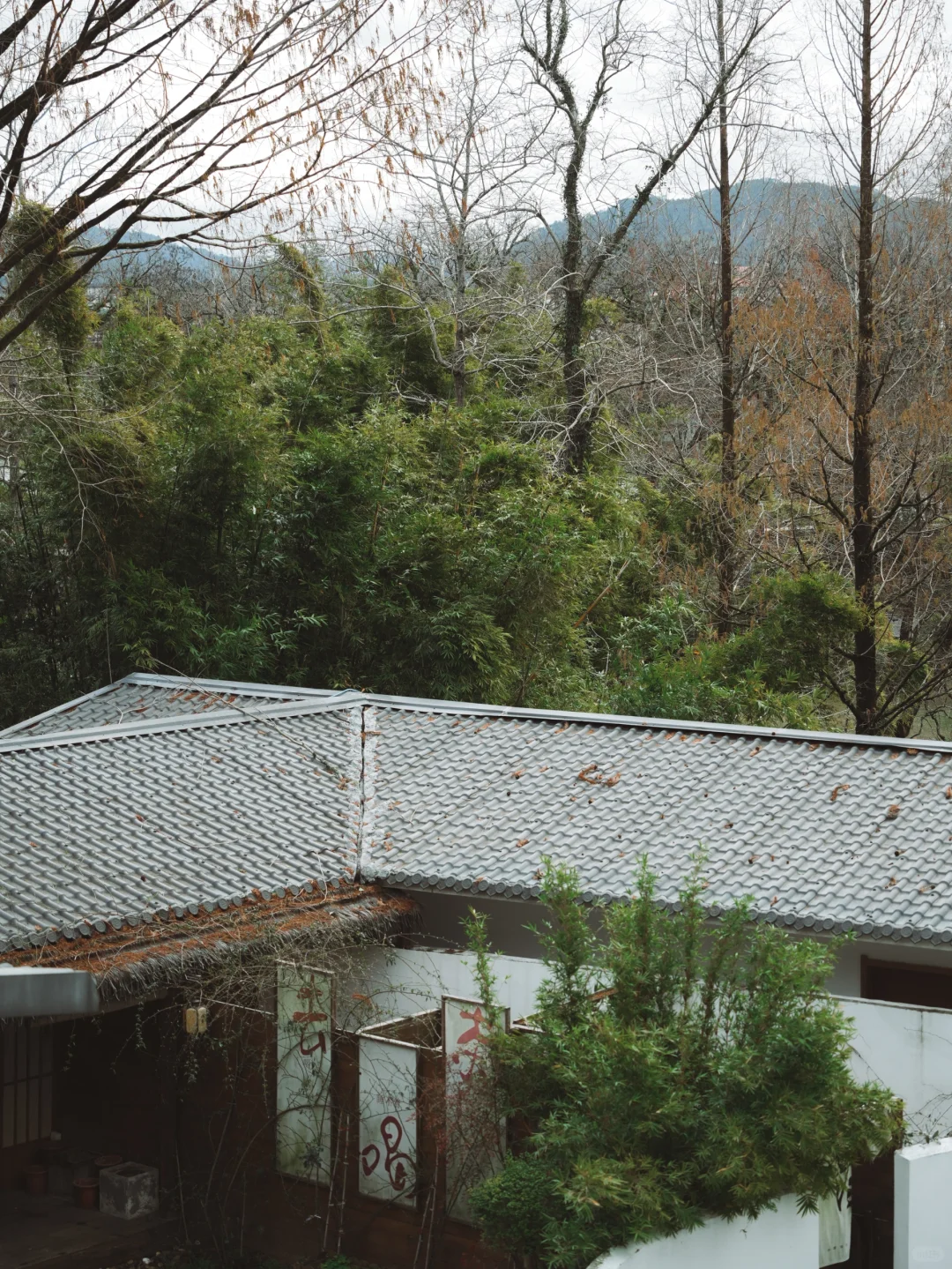 武夷山懒人攻略丨不爬山才是真的快乐