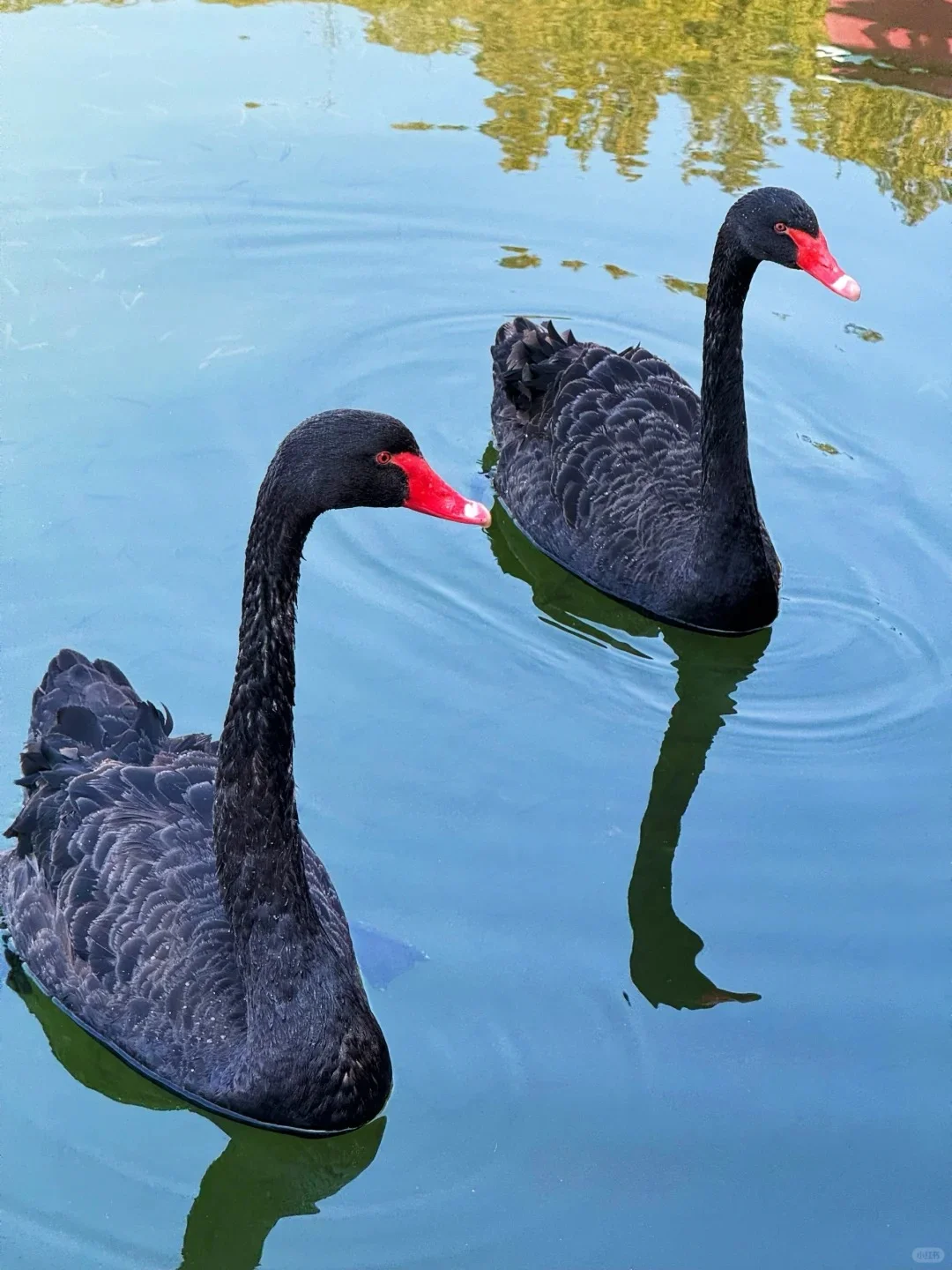 南阳市必去🔥9大景点‼️旅游前必看👀