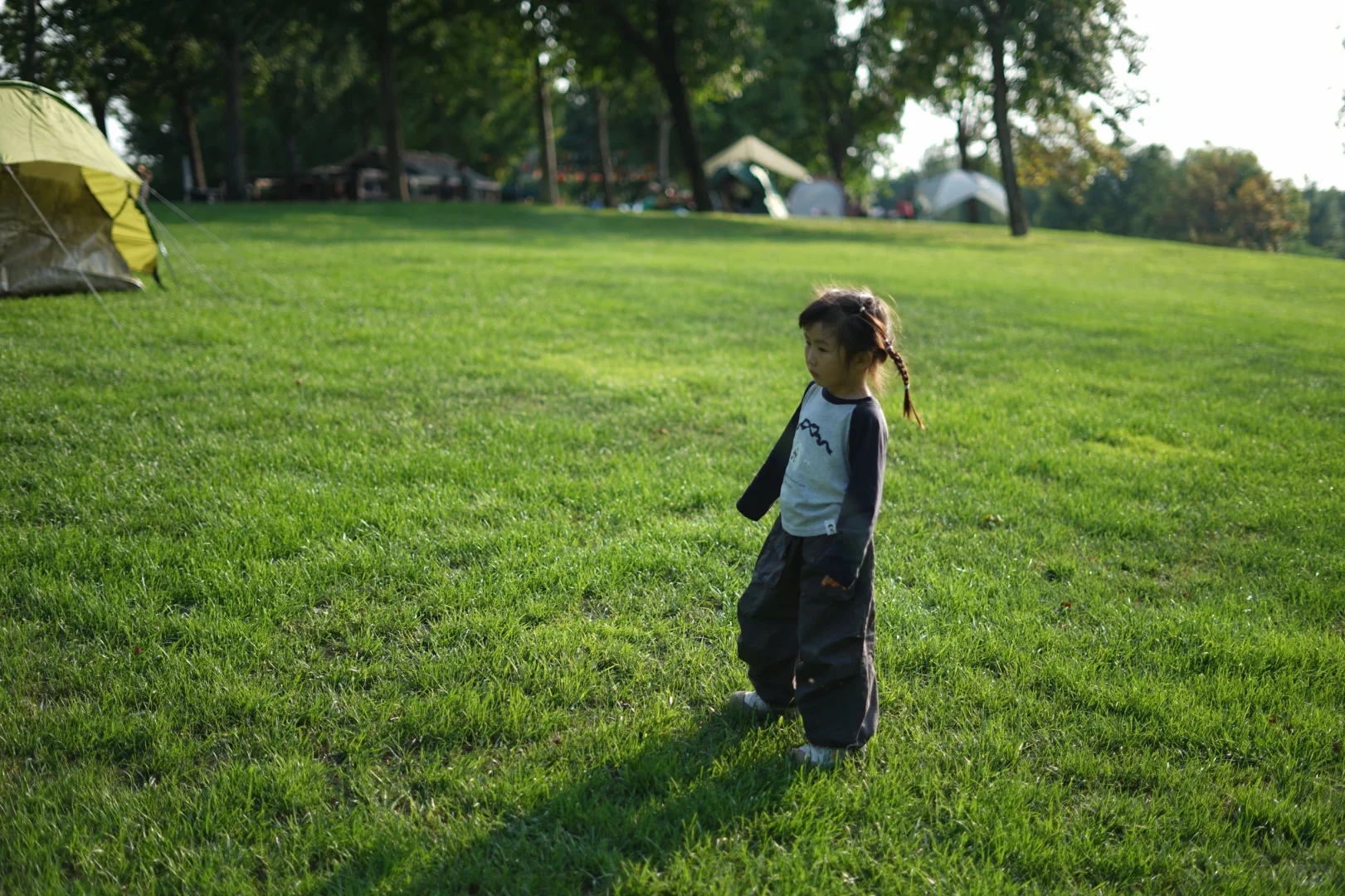 终于开了‼️这是我这个春天蕞想去的地方🍃🌳