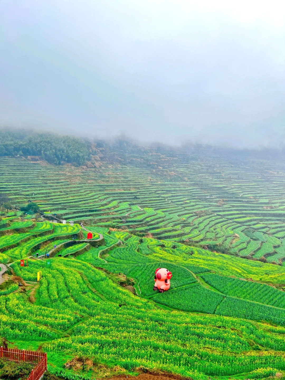 免费AAAAA景区➖覆卮山