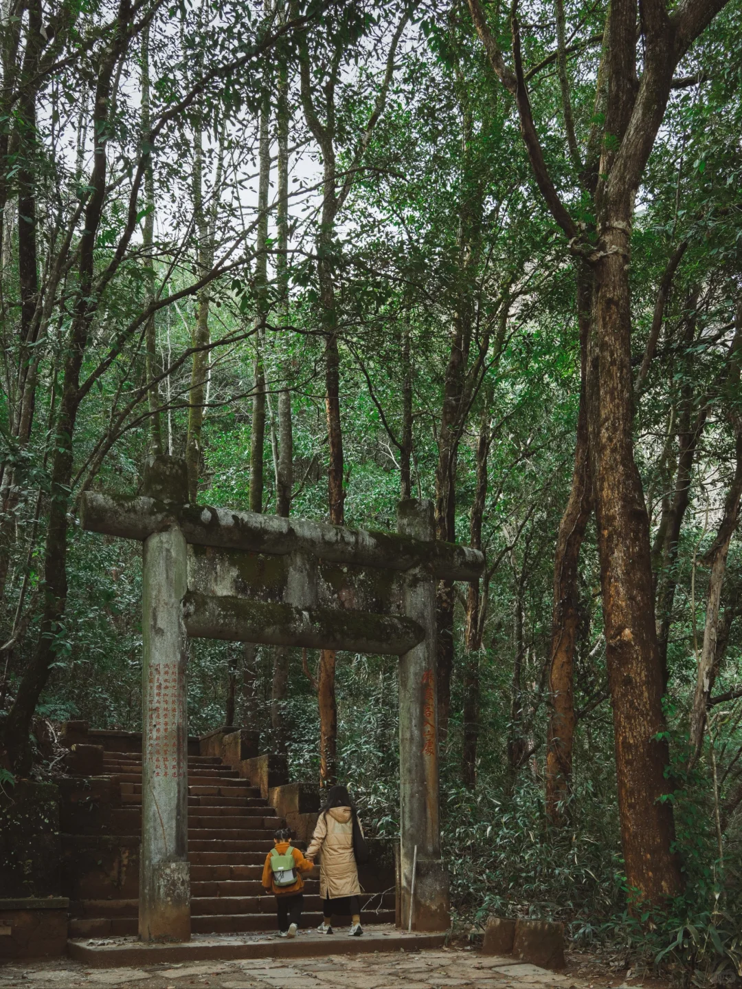 武夷山懒人攻略丨不爬山才是真的快乐