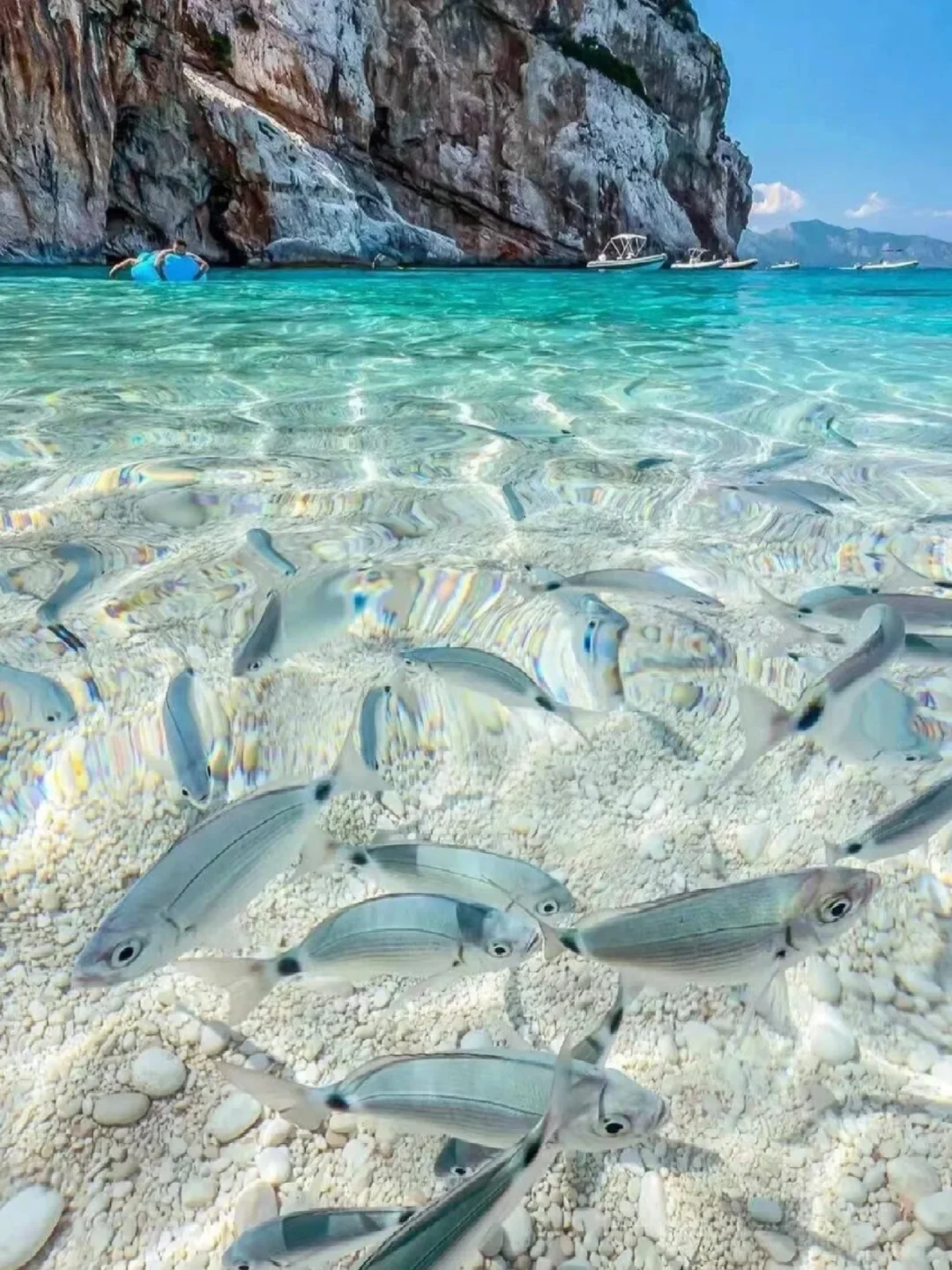 真心建议五一死磕斐济,便宜到怀疑人生😅