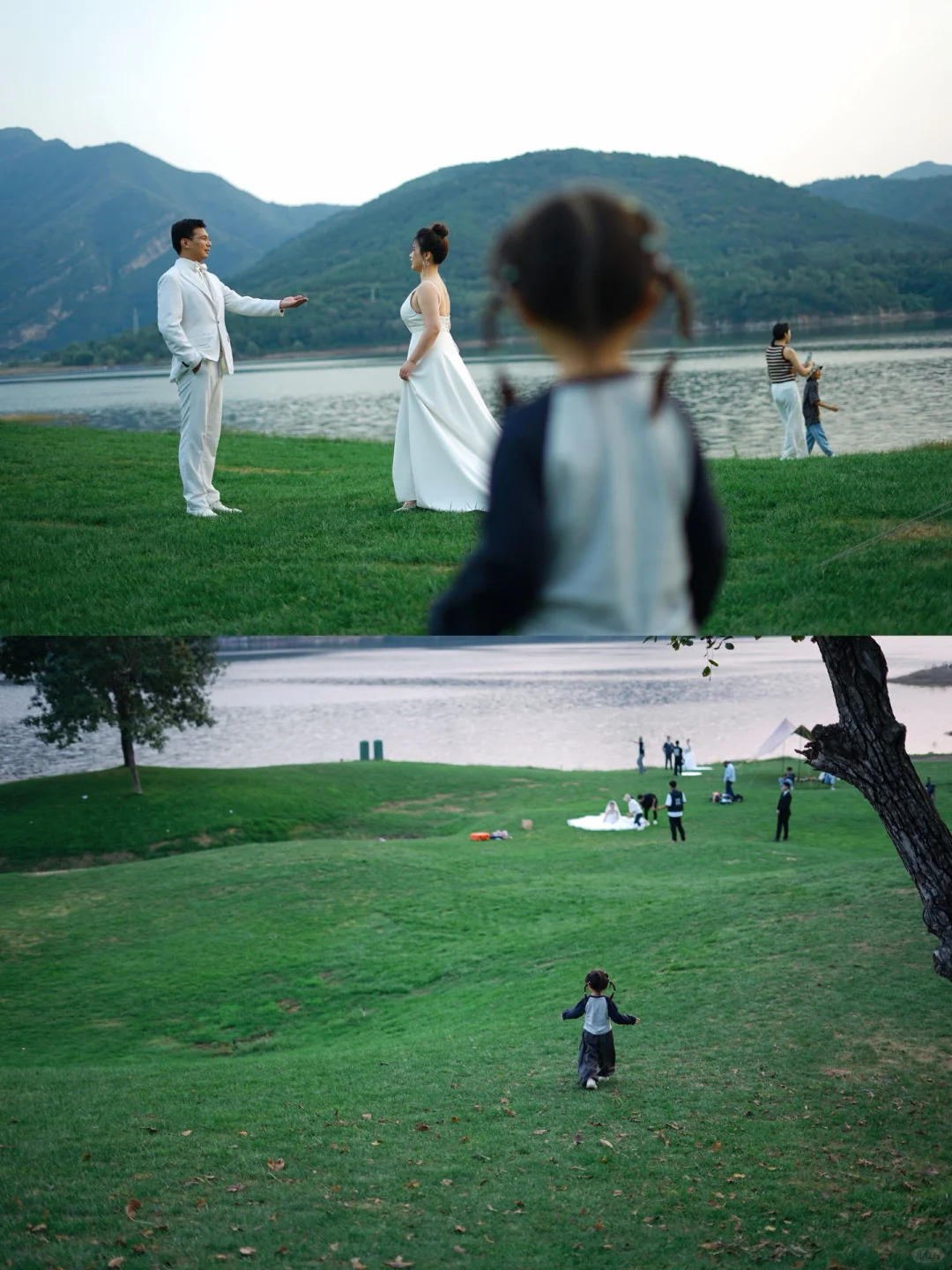 终于开了‼️这是我这个春天蕞想去的地方🍃🌳