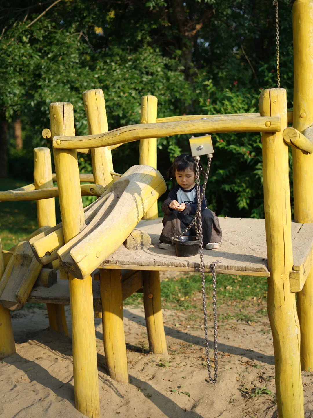 终于开了‼️这是我这个春天蕞想去的地方🍃🌳