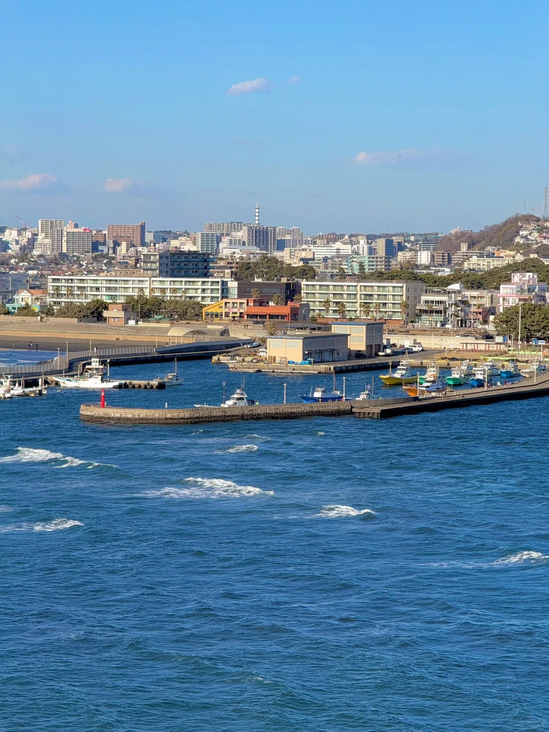 3.6📍日本旅游真实现状,真心建议还没来的…