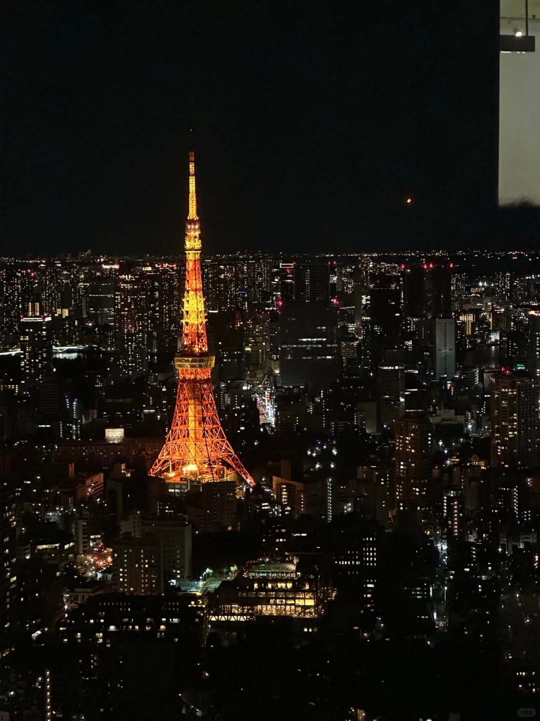 3.6📍日本旅游真实现状,真心建议还没来的…