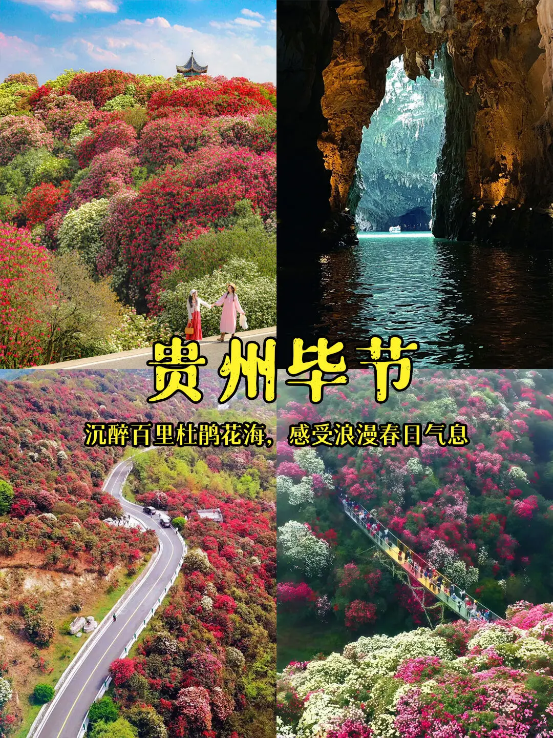 2025春游必冲！当我问DeepSeek国内小众赏花#