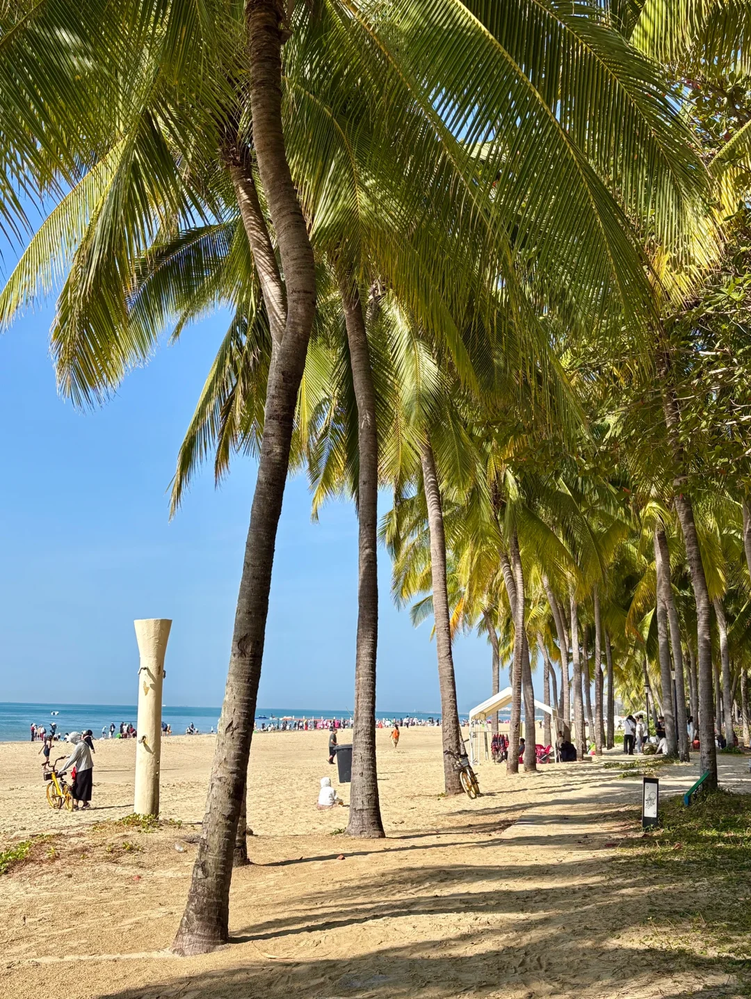 3.10📍三亚旅游真实现状，真心建议还没来的…