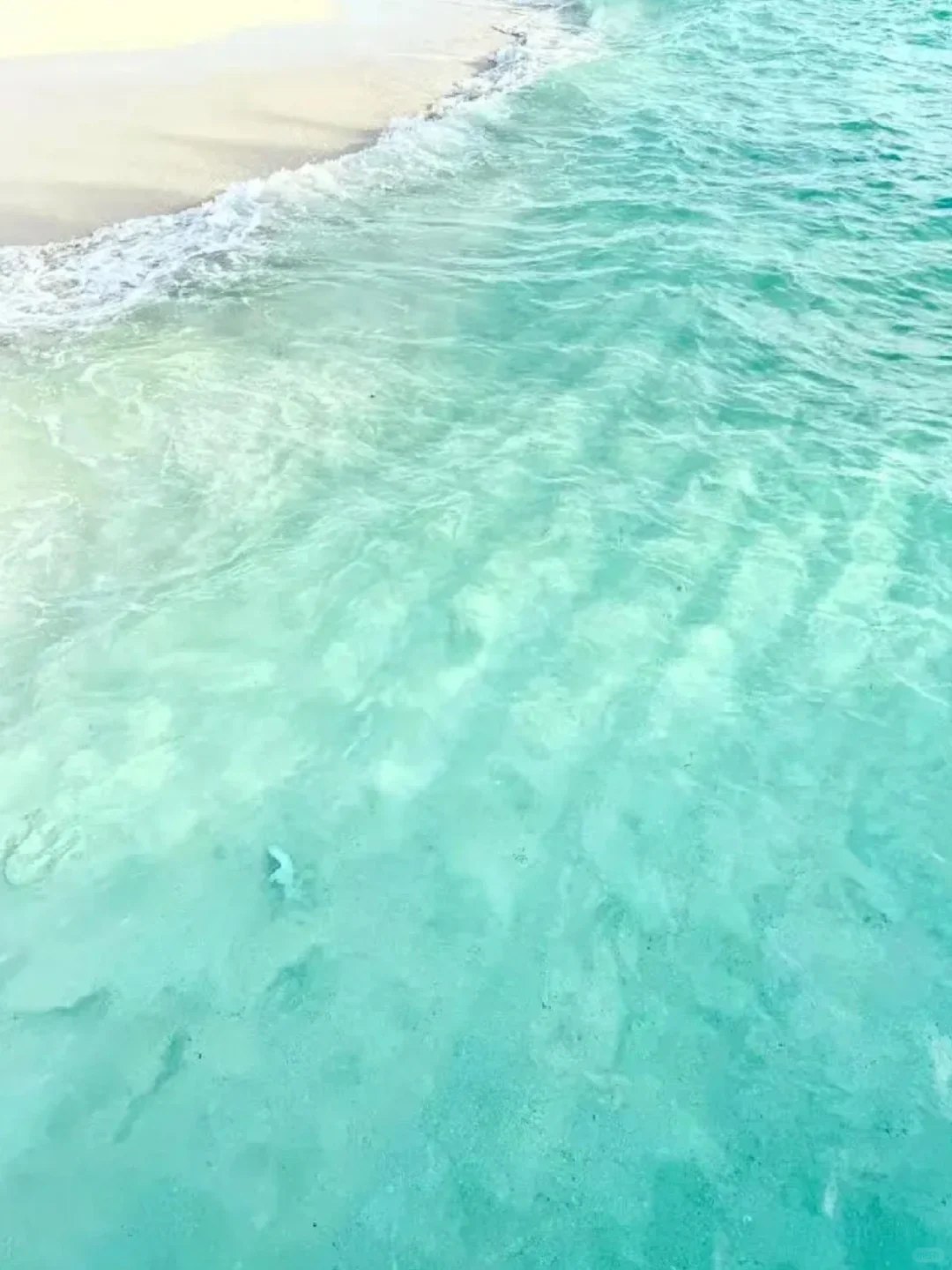 真心建议五一死磕斐济,便宜到怀疑人生😅