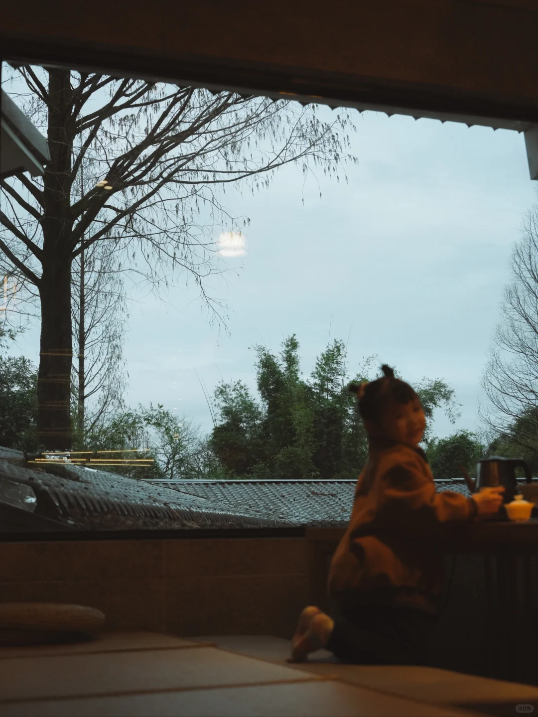 武夷山懒人攻略丨不爬山才是真的快乐