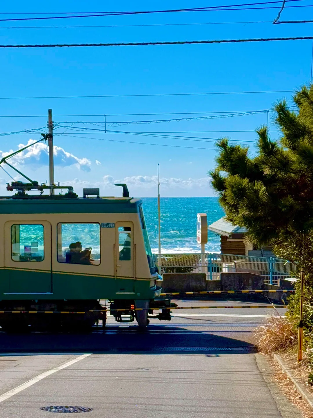 3.6📍日本旅游真实现状,真心建议还没来的…