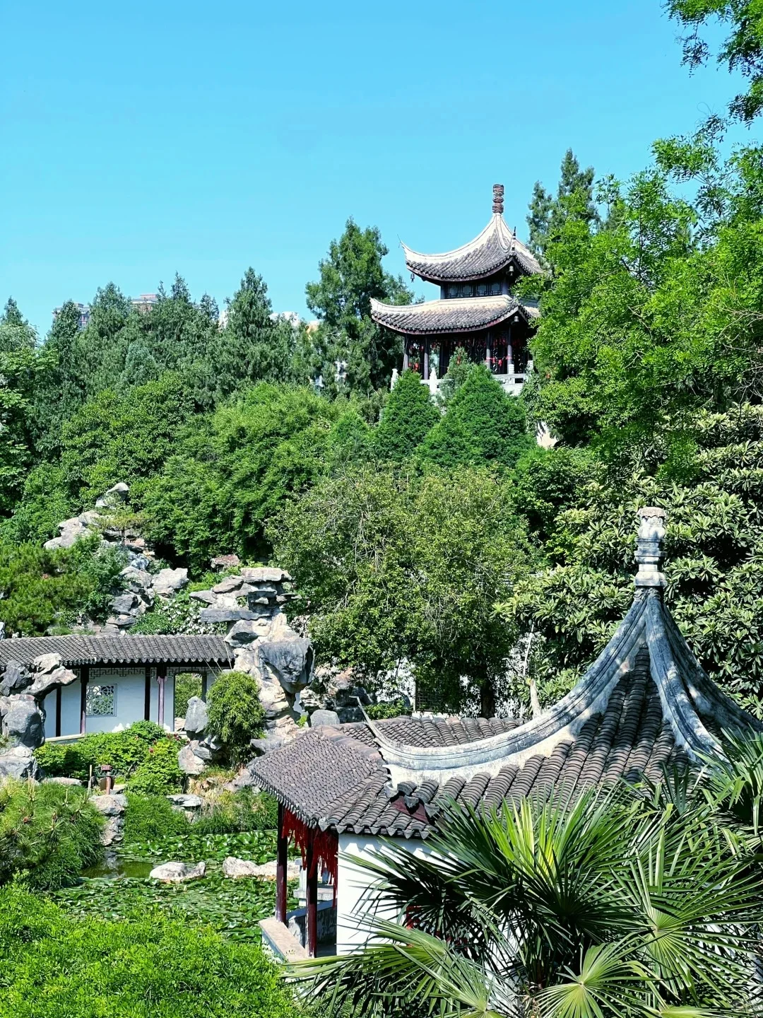 南阳市必去🔥9大景点‼️旅游前必看👀