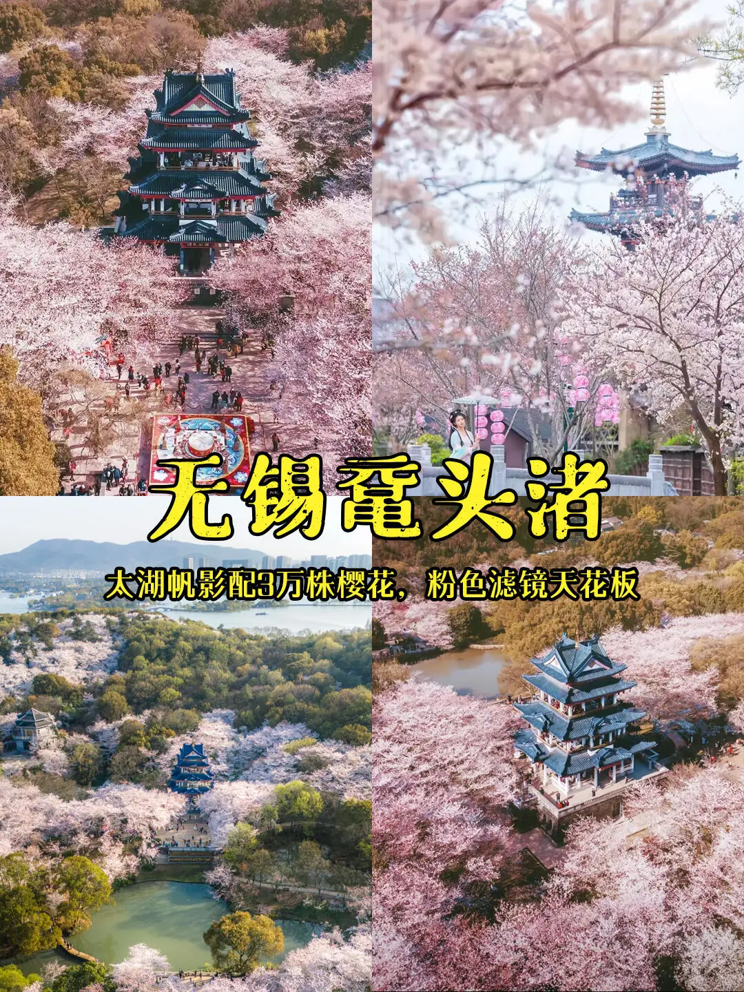 2025春游必冲！当我问DeepSeek国内小众赏花#