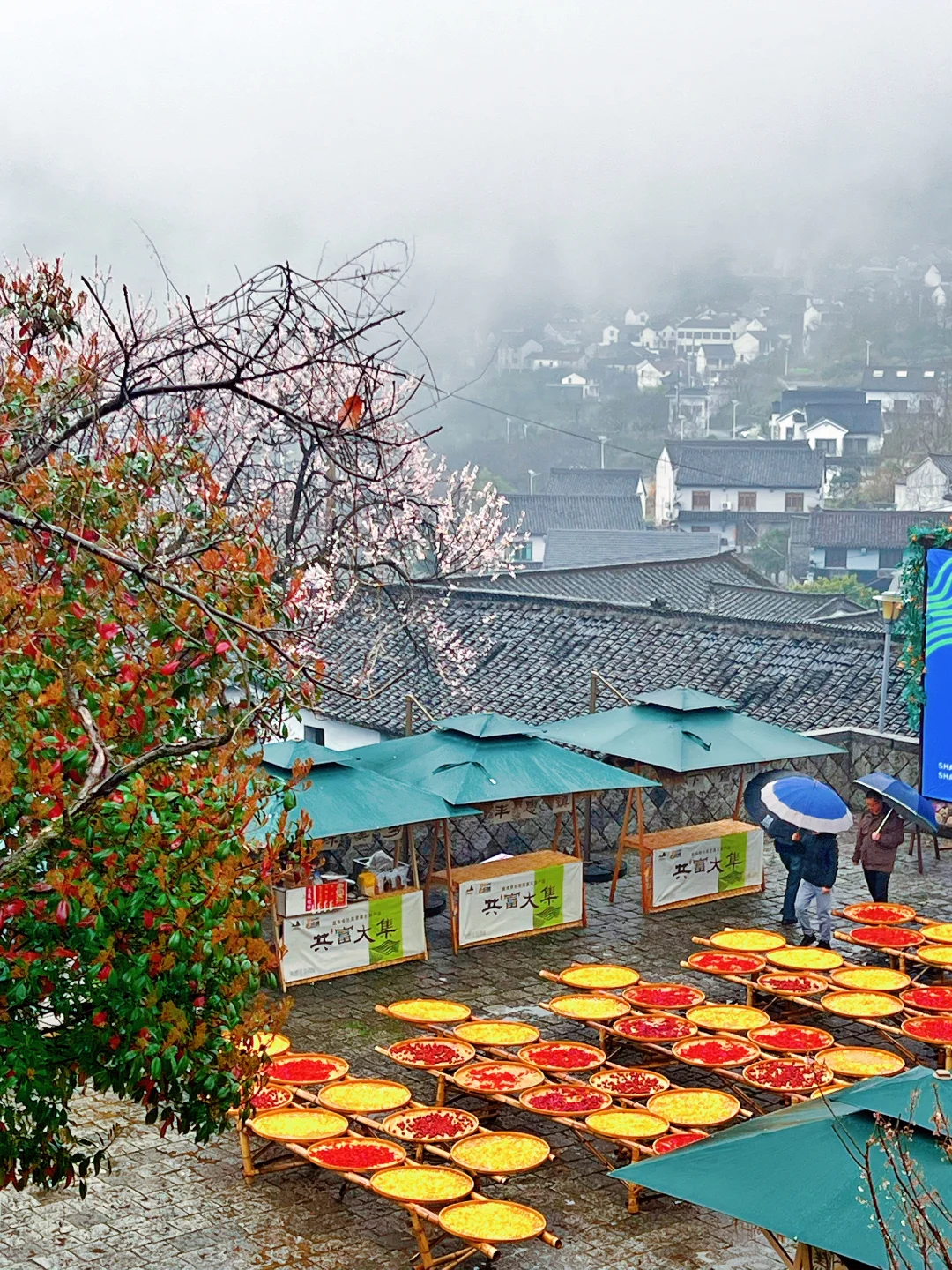 免费AAAAA景区➖覆卮山