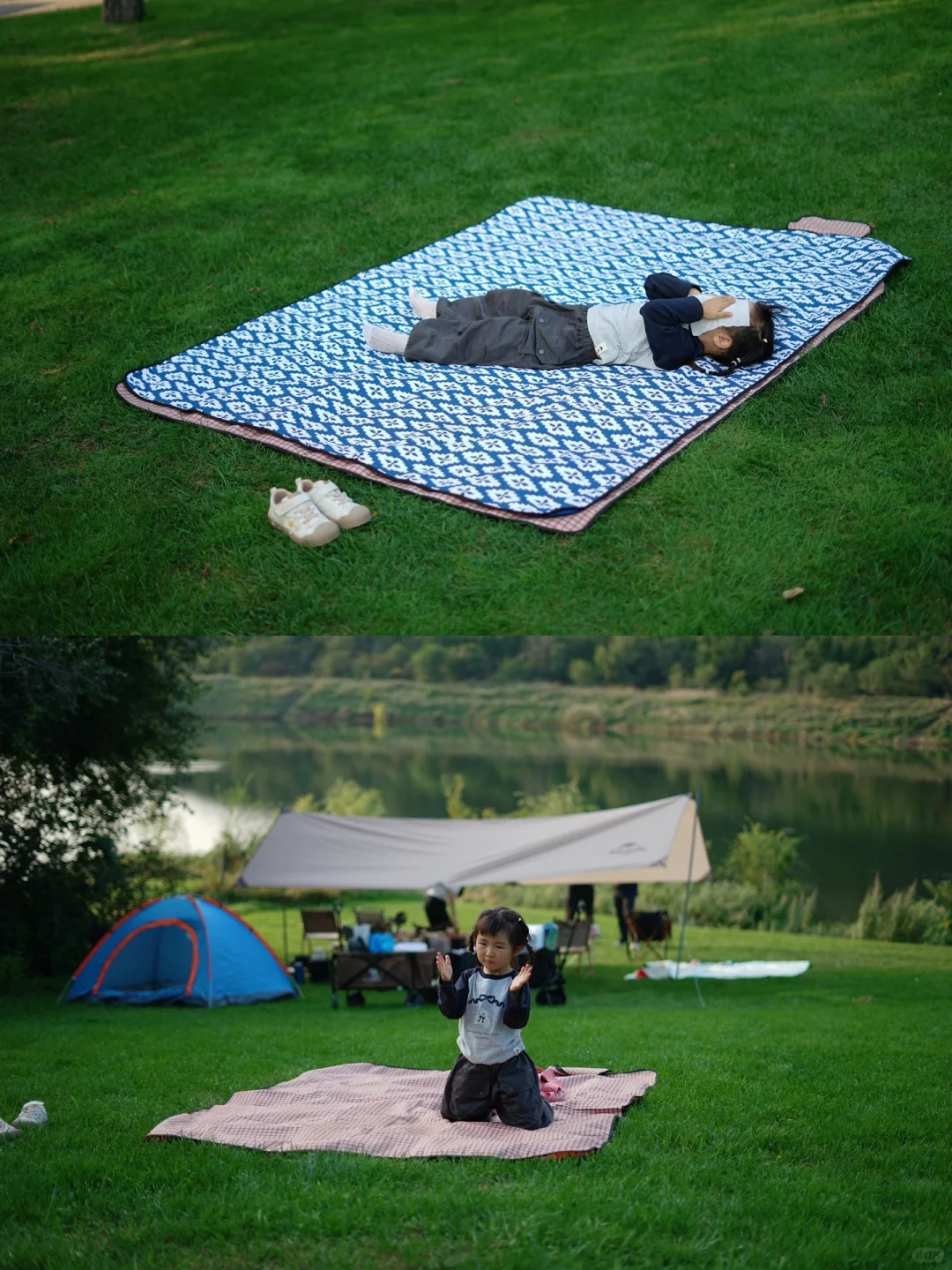 终于开了‼️这是我这个春天蕞想去的地方🍃🌳