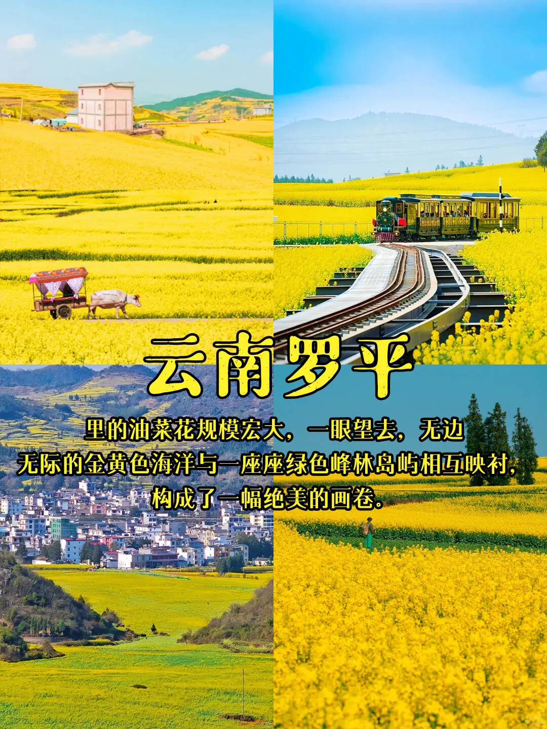 2025春游必冲！当我问DeepSeek国内小众赏花#