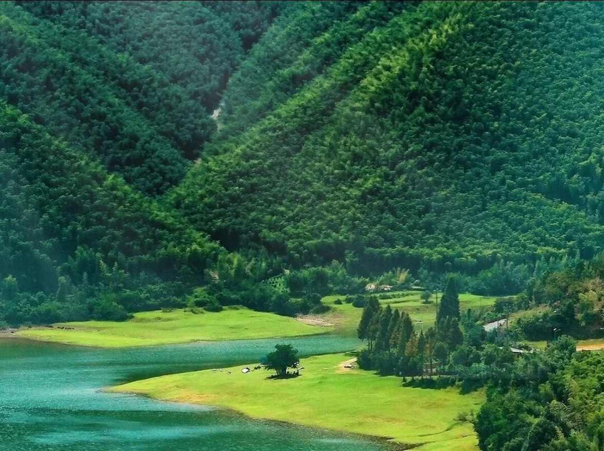 《清明旅游防踩坑指南|全国景点发疯文学版》