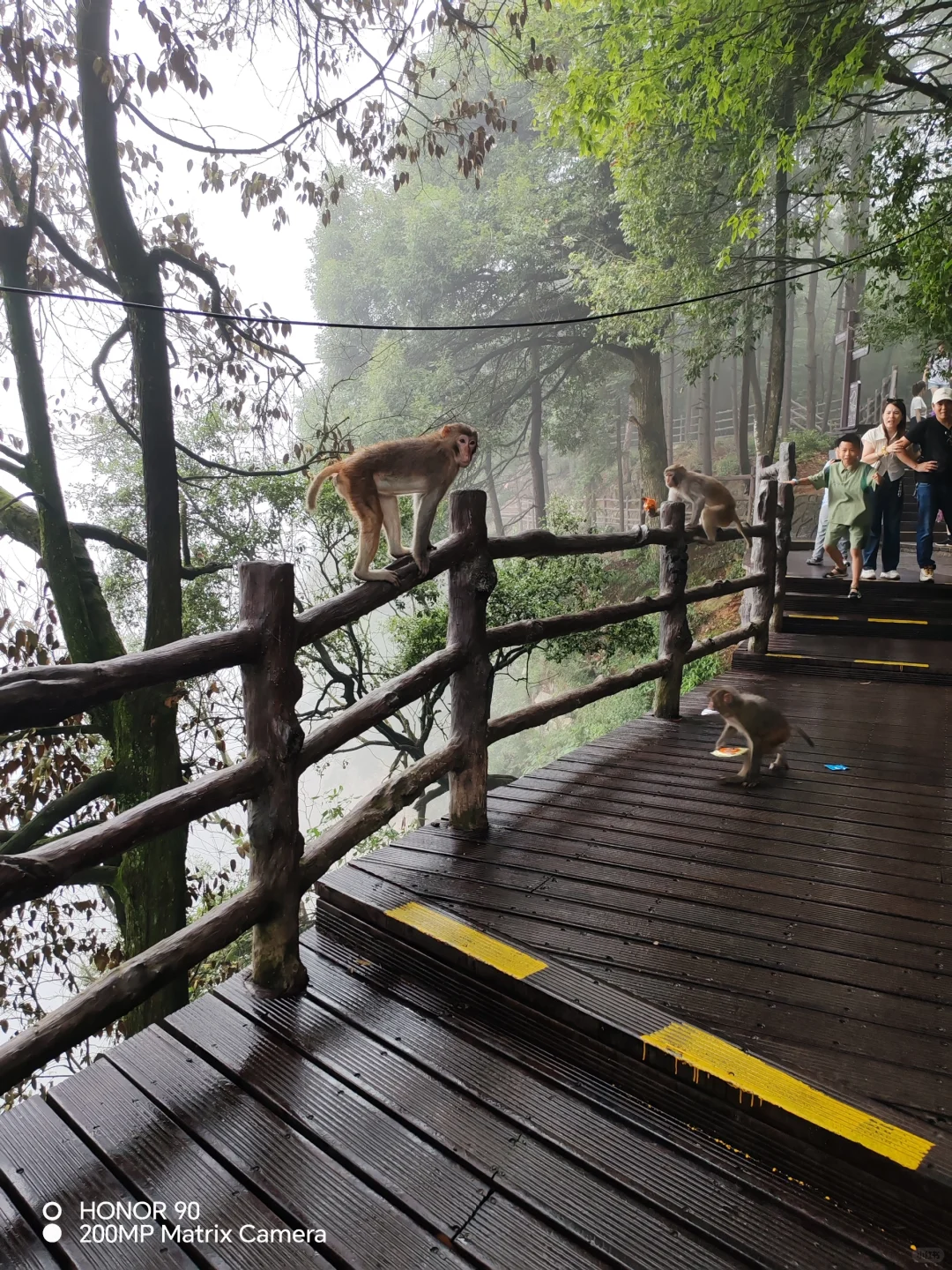 畅游张家界，大山风景总是值得期待。