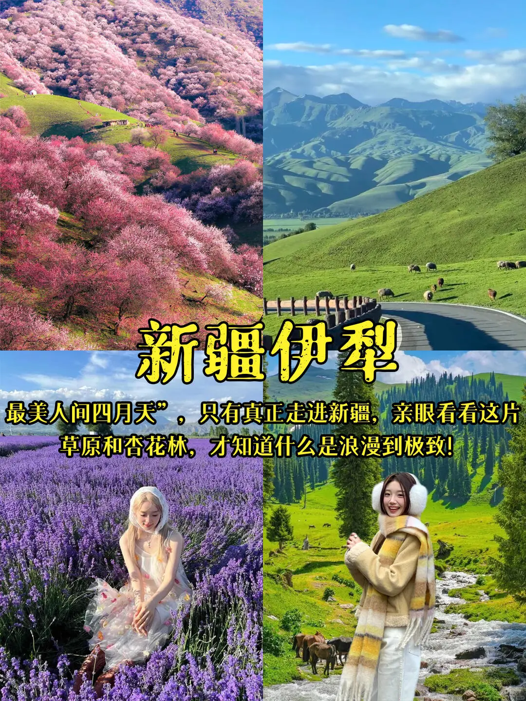 2025春游必冲！当我问DeepSeek国内小众赏花#